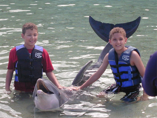 swimwithdolphins